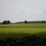 2017OTRA-1_927 (August 27, 2017)